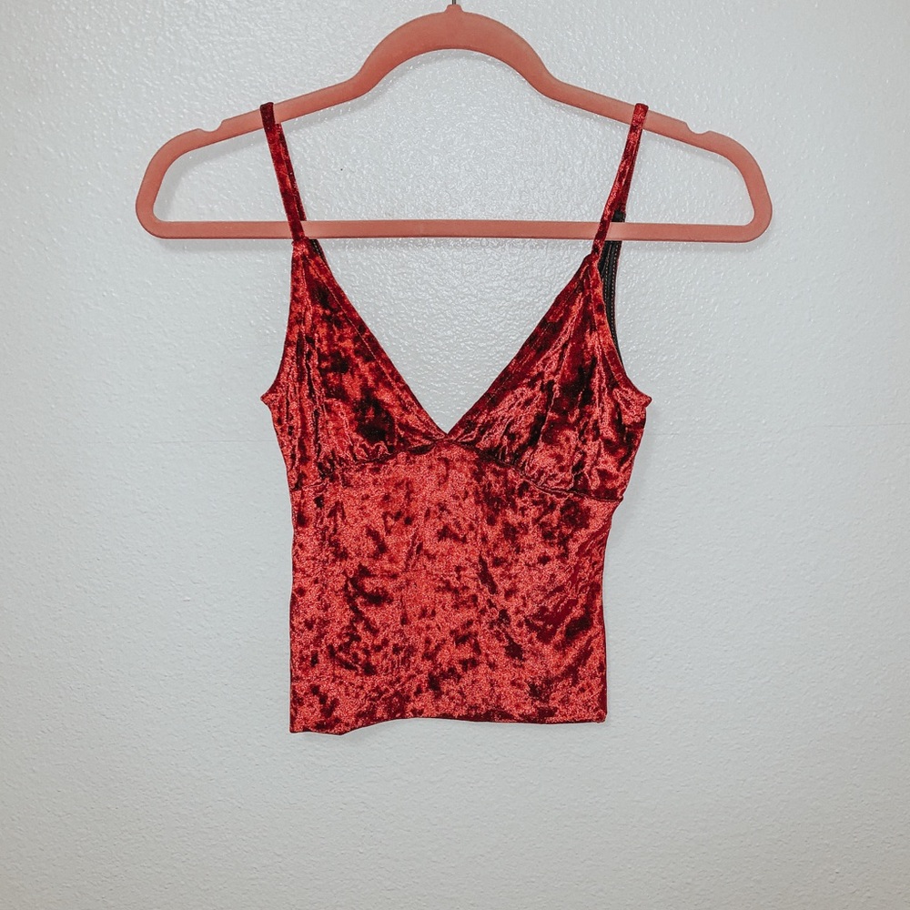 Velvet cropped top